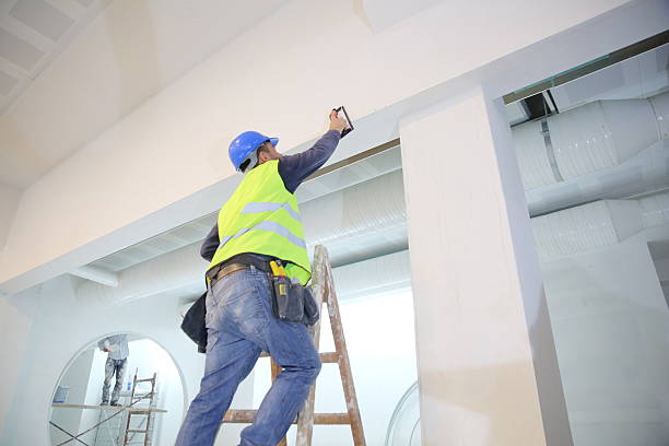 Best Water-Damaged Drywall Repair  in Mount Vernon, IL