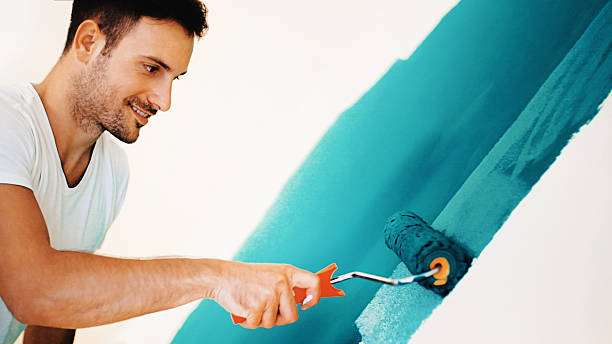 Best Repainting for Renovations  in Mount Vernon, IL